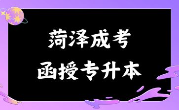 2024年菏泽成考函授专升本是什么意思